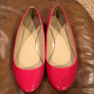 Red Ann Taylor flats 7.5
